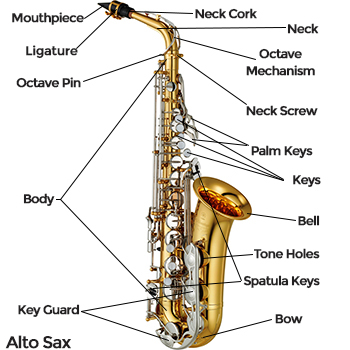 Alto Saxophone Diagram