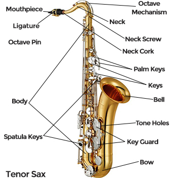 Tenor Saxophone Diagram