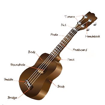 Ukulele instrument diagram